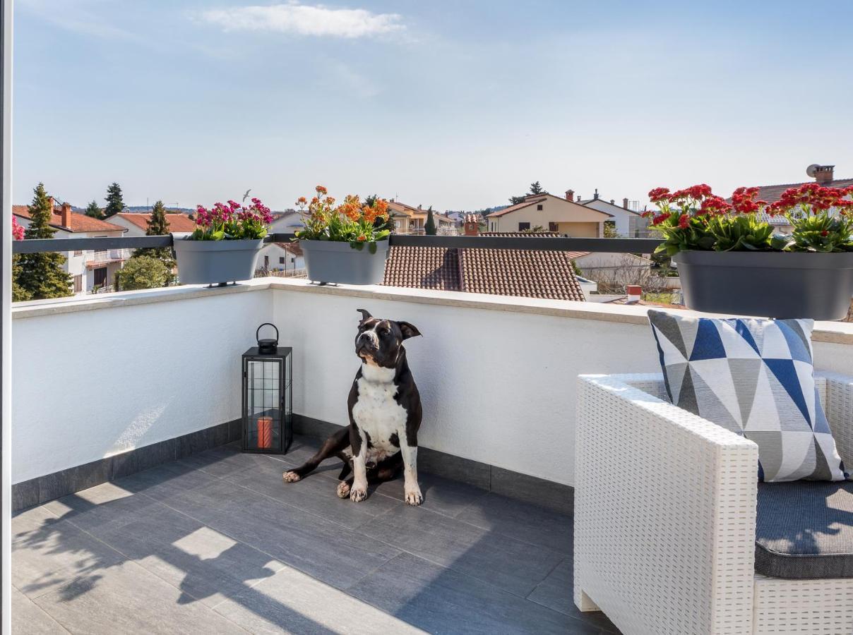 Apartman Nina Fazana Exterior photo